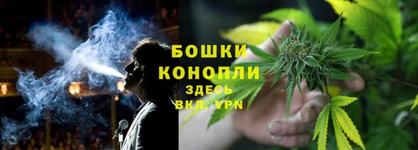 сатива Костерёво