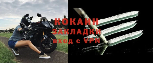 сатива Костерёво