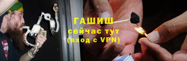 сатива Костерёво