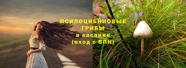 spice Коряжма