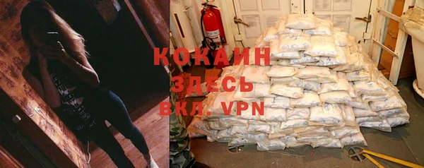 сатива Костерёво