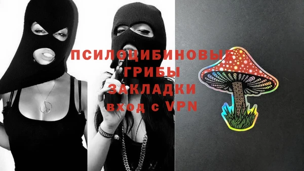 сатива Костерёво