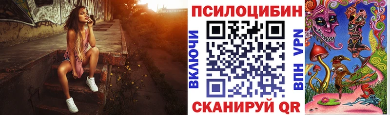Галлюциногенные грибы Psilocybe  Котово 